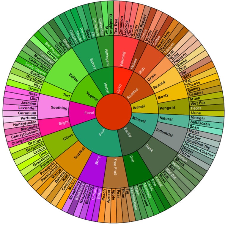 What Are Terpenes Mr Terps BCN Terps Blog